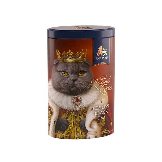 Richard RH06032 cat grey